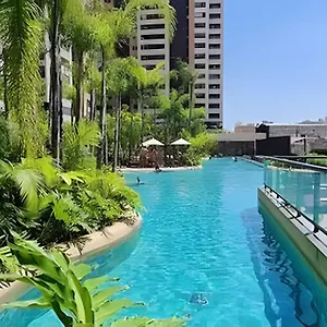 501 Dentro De Um Verdadeiro São Paulo